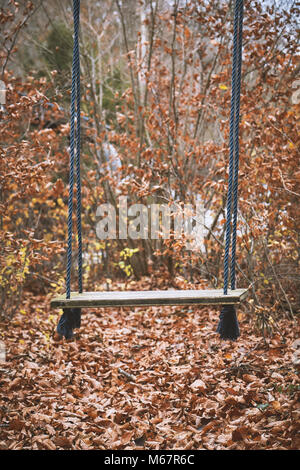 Leer Kinder Schaukel im Wald von braunen Laub im Herbst umgeben Stockfoto