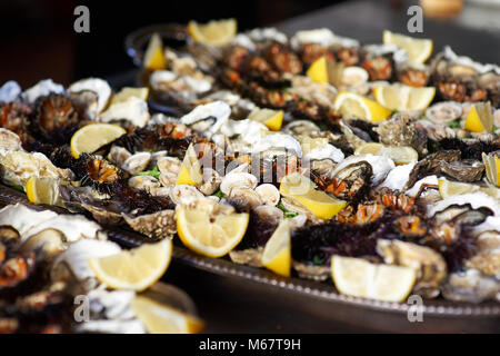 Austern, Muscheln, Meer Meeresfrüchte Seeigel mit Zitrone in einem Fach Stockfoto