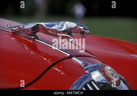 Nahaufnahme Detail Bild von einem verchromten Kühlergrill eines Jaguar XK150 mit Abzeichen Stockfoto