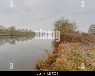 Ein Wintertag auf der nebligen Banken von einem ruhigen Fluss Trent stream nach unten schauen. Stockfoto