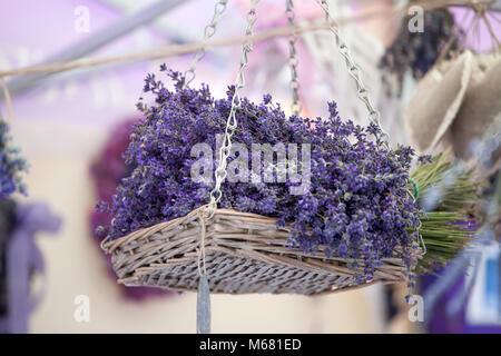 Bouquet von getrockneten Lavendel Stockfoto