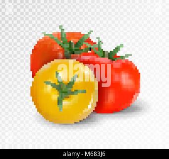 Gruppe von drei realistische Tomaten auf einem transparenten Hintergrund isoliert. Rote und gelbe Tomaten. Vector 3d-Abbildung. Stock Vektor