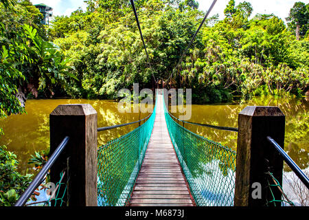 Die Hängebrücke über den See im Rainforest Discovery Center in Sepilok, Borneo, Malaysia Stockfoto