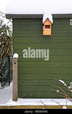 Ein Vogel Nistkasten auf der Nordseite von einem Gartenhaus nach dem Winter Schneefall in Hellesdon, Norfolk, England, Vereinigtes Königreich, Europa. Stockfoto