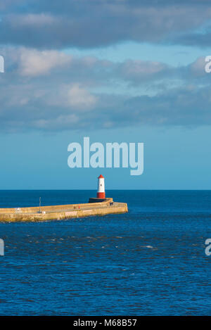 Berwick Pier, den Blick auf das 19. Jahrhundert Leuchtturm am Ende der 880 Meter langen Mole Pier in Berwick upon Tweed, Northumberland, England, UK. Stockfoto