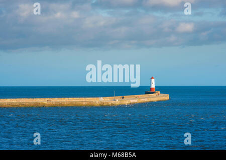 Pier Berwick, Blick auf die 880 Meter lange Mole Mole und Leuchtturm aus dem 19. Jahrhundert in Berwick upon Tweed, Northumberland, England. Stockfoto