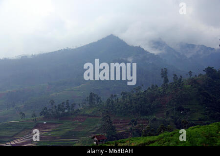 Mountain Area in Pacet, Kertasari, Bandung, Indonesien, Südostasien, Asien. Stockfoto