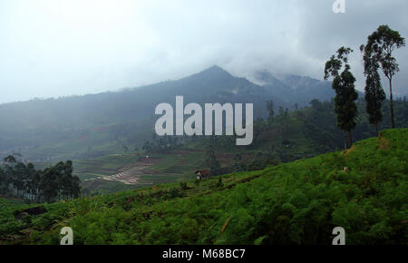 Mountain Area in Pacet, Kertasari, Bandung, Indonesien, Südostasien, Asien. Stockfoto