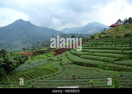 Mountain Area in Pacet, Kertasari, Bandung, Indonesien, Südostasien, Asien. Stockfoto