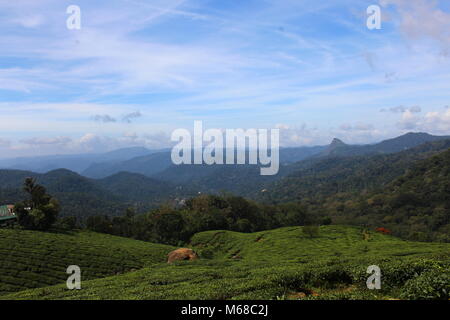 Mein Besuch in Kerala, im Jahr 2016. Stockfoto