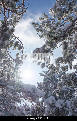 Semmering: Schnee bedeckt Niederlassungen, Sonne, Wiener Alpen, Alpen, Niederösterreich, Lower Austria, Austria Stockfoto