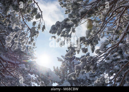 Semmering: Schnee bedeckt Niederlassungen, Sonne, Wiener Alpen, Alpen, Niederösterreich, Lower Austria, Austria Stockfoto