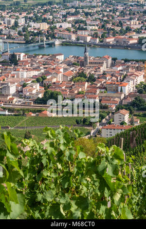 Über die Weinberge in Tain l'Hermitage Valence Drôme Auvergne-Rh ône-Alpes Frankreich Stockfoto