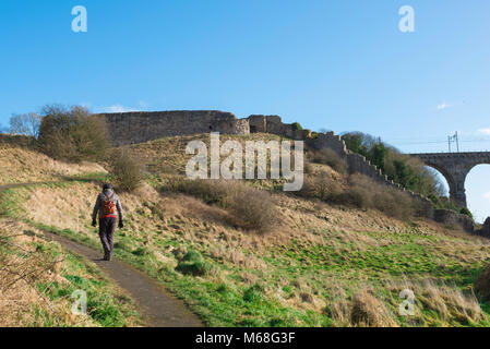 Berwick upon Tweed Schloss, Blick auf eine Frau zu Fuß den Weg bis zu den Ruinen von Berwick Castle auf der Westseite von Berwick upon Tweed, England, Großbritannien Stockfoto