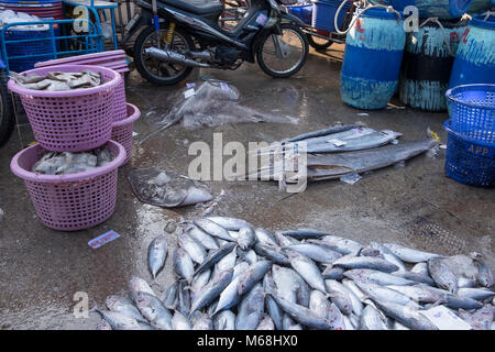 Verkauf Haie und Rochen auf dem Markt in Thailand Stockfoto