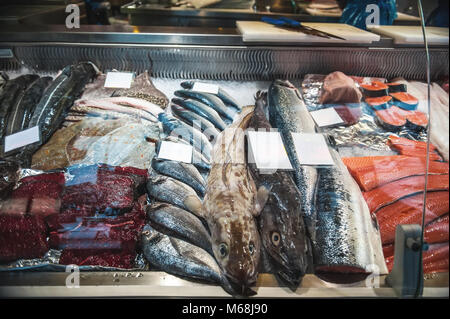 Großes Display mit Kabeljau lachs Flunder Hering Seebarsch und Walfleisch und andere Meeresfrüchte Köstlichkeiten auf den Zähler der Norwegischen Fischmarkt. Stockfoto