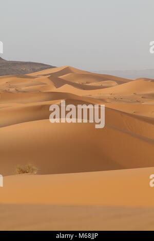 Merzouga Dünen Stockfoto