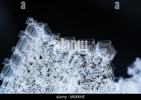 Snow Flake, ein Makro Bild