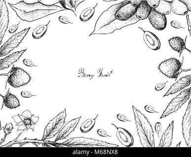 Beerenfrucht, Illustration von Hand gezeichnete Skizze von frischem Atherton Himbeer- oder Rubus Probus und Jambolan oder Java Pflaumen Früchte isoliert auf weißem Ba Stock Vektor