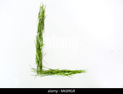 Buchstaben des Alphabets mit frischem grünem Gras geschrieben Stockfoto