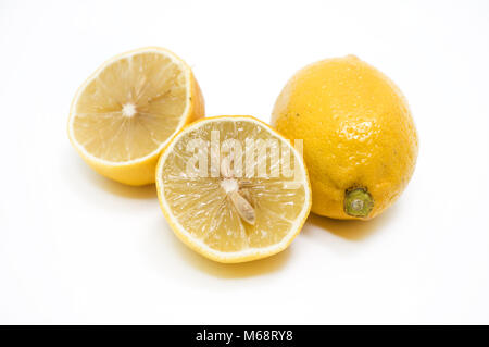 Limonade machen Stockfoto