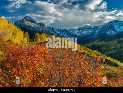 Aspen, Chokecherry, Mount Sneffels, Dallas Divide, Uncompahgre National Forest, Colorado Stockfoto