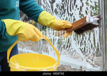 Gewächshaus Fensterscheiben sind mit warmen Seifenwasser im Winter gewaschen zu entfernen Schmutz und helfen, Schädlinge und Krankheiten Risiko reduzieren, UK Garten Stockfoto