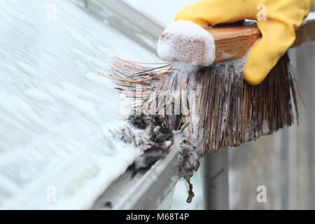 Gewächshaus Dachrinnen sind von Schmutz und Windows gelöscht nach unten mit warmem Seifenwasser gewaschen für die neue Saison in einem Garten vorzubereiten, Großbritannien Stockfoto