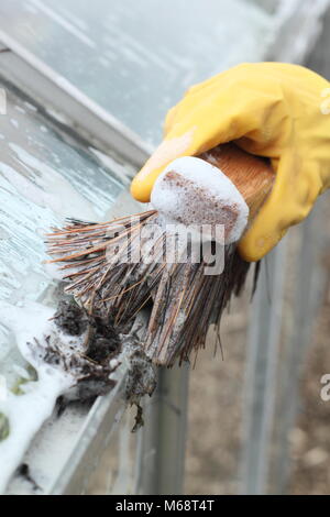 Gewächshaus Dachrinnen sind von Schmutz und Windows gelöscht nach unten mit warmem Seifenwasser gewaschen für die neue Saison in einem Garten vorzubereiten, Großbritannien Stockfoto