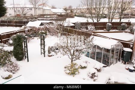 Eine verschneite Vorstadt Garten im Winter, North East England, Großbritannien Stockfoto