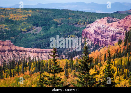 Die atemberaubenden Farben der Utah Cedar Breaks National Monument Stockfoto