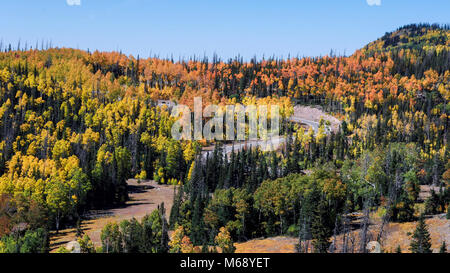 Herbstfarben in der Nähe von Cedar Breaks National Monument. Stockfoto