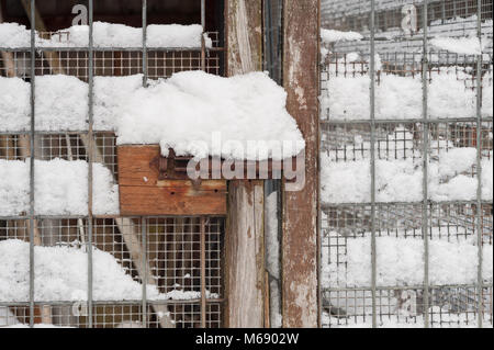 Schnee überzogen Verriegelungen Tür geschlossen halten Stockfoto