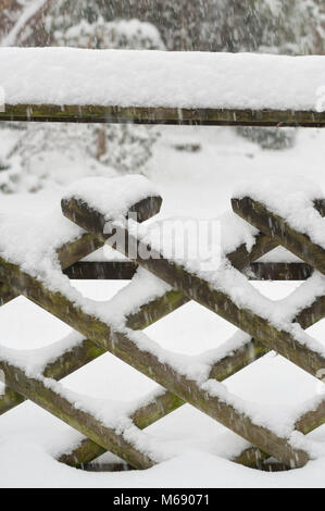 Überlappende verwitterten Lamellen aus Holz kastanie Zaun, kreuz und quer und im Schnee mit fallenden Schneeflocken fallen Stockfoto