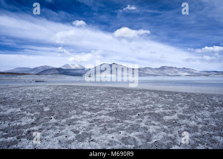 Salar de Aguas Calientes (Spanisch für warmes Wasser Salz See) und die Lagune in den Anden Altiplano (Hochebene) über 4000 Meter über dem Meeresspiegel, Los Stockfoto