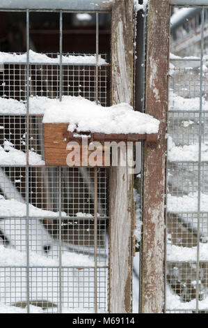 Schnee überzogen Verriegelungen Tür geschlossen halten Stockfoto