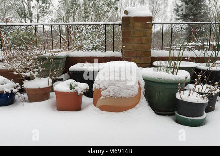 Sammlung von Garten Pflanzen in verschiedenen Kunststoff, Terracotta Töpfen beschichtet in tiefer starker Schneefall möglicherweise durch Frost beschädigt Stockfoto