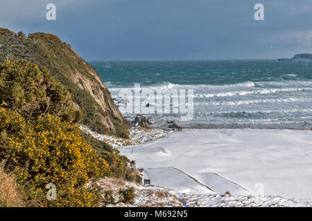 Küste von Moray in Schottland Cullen Bay mit einem stürmischen Meer WINTER SCHNEE AUF DEM GOLFPLATZ UND Gelber Ginster auf einer Klippe Stockfoto