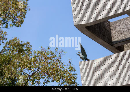 Eine Taube des Friedens auf der Memorial Tower der mobilisiert Studenten an der Hiroshima Peace Memorial Park, Japan Stockfoto