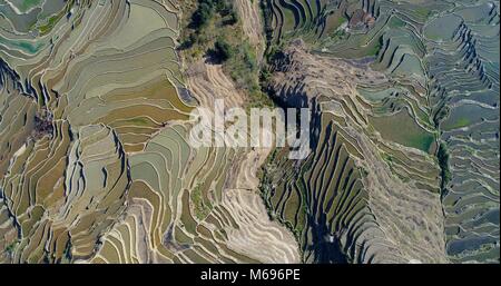 Reisfelder mit Wasser gefüllt, das Erstellen von atemberaubenden Mustern. Luftaufnahme auf die weltweit schönsten Reisterrassen, die yuanyang Hani Reisfelder. Stockfoto