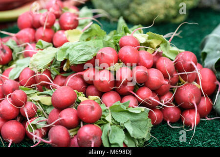 Strauß roter Rettich auf Gras Stockfoto