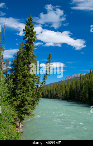 Whirlpool-Fluss, Jasper Nationalpark, Alberta, Kanada Stockfoto