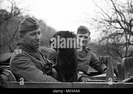 WW 2 deutsche Soldaten im Fahrzeug mit Hund im April 1941 während der Invasion in Jugoslawien Stockfoto