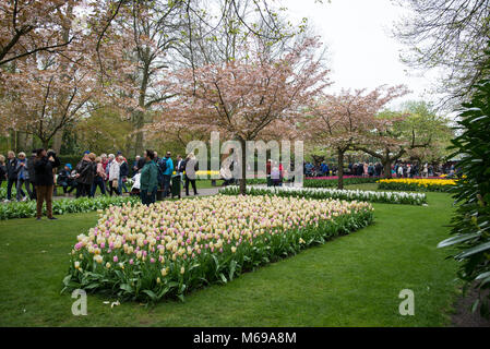 Keukenhof, Niederlande - 21 April, 2017: Besucher im Keukenhof in Lisse, Niederlande, Die Niederlande Stockfoto
