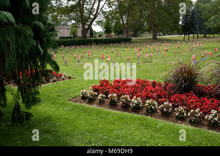 Flaggen ehrt Mitglieder der Kanadischen Streitkräfte, die in der Tätigkeit verloren waren, Victoria Rasen Friedhof, St Catharines, Ontario, Kanada Stockfoto