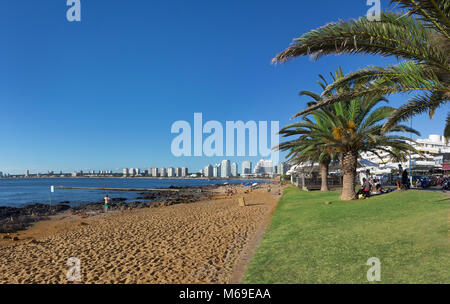 Punta Del Este, Uruguay - 26. Februar 2018: die Menschen am Strand neben der Rambla Gral Jose Artigas und das Stadtbild im Hintergrund, Pu entfernt Stockfoto