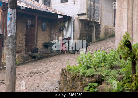 Eine einheimische, ethnischen Ixil Maya Frau Fütterung ein Schwein auf der Straße vor ihrem Haus in San Gaspar Chajul, Ixil Dreieck, Guatemala. Stockfoto