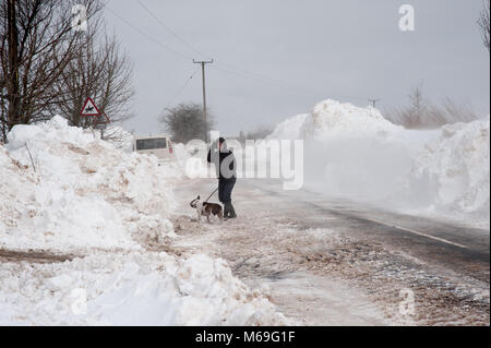 Lady walking Hund tierheime von Schneeverfrachtung in der Nähe von Bolton am 24. März 2013 Stockfoto