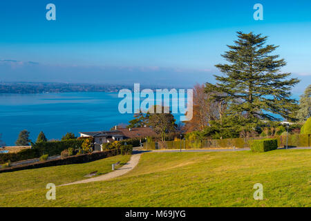 Garten, Panoramablick auf den Genfer See und die Stadt von Genève Suisse. Genf. Die Schweiz. Europa Stockfoto