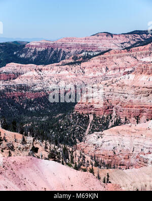 Die atemberaubenden Farben der Utah Cedar Breaks National Monument Stockfoto
